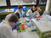 Bild1