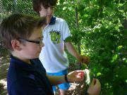 Bild15