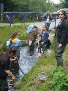 Bild8