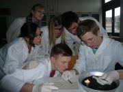 Bild9