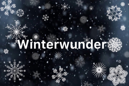 Winterwunder - das Winterfest am Gymnasium Langenhagen